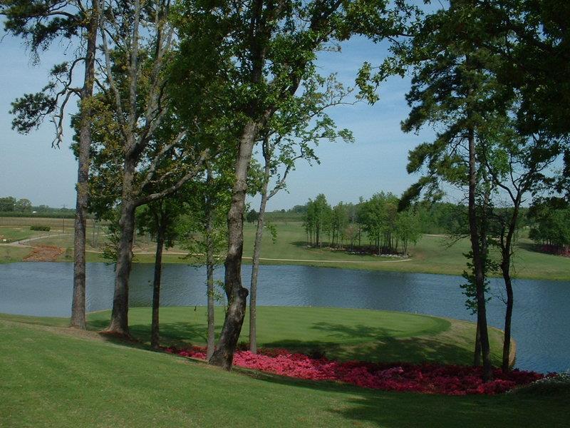 Best Western Canton Inn Fasiliteter bilde